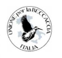 Raccolta ali di beccaccia
