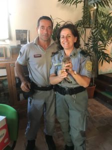 Fondi, gli agenti ambientali salvano un gheppio in difficoltà nel volare