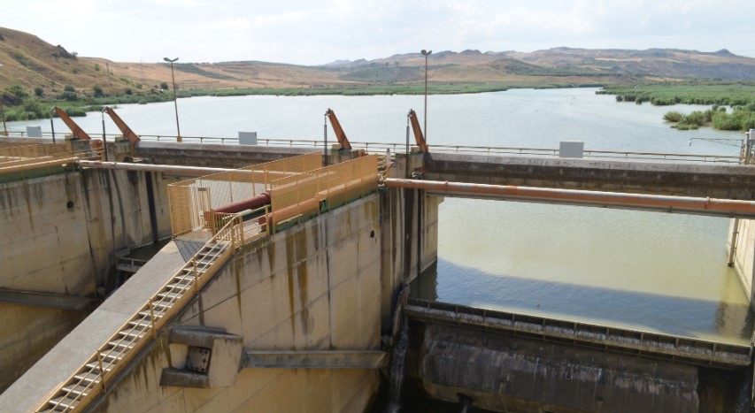 Annotazione-2020-06-17-182053 Ponte Barca, la strage dei pesci nell'area protetta