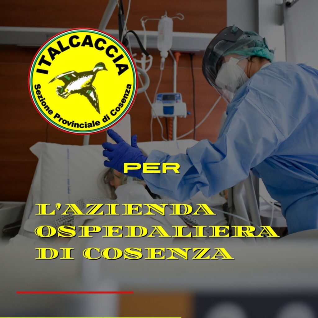 Italcaccia-per-azienda-ospedaliera-di-cosenza-1024x1024 ItalCaccia Cosenza: raccolta fondi all'Azienda ospedaliera di Cosenza