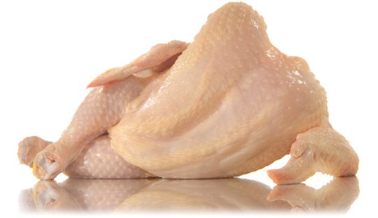 chicken-nyt Funerale ad un pollo surgelato.