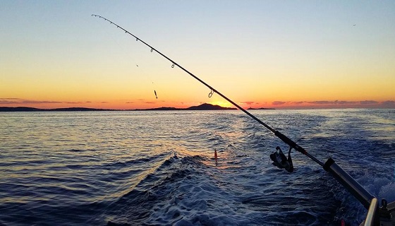 Pesca in mare: tecniche, attrezzatura, licenza e permessi necessari