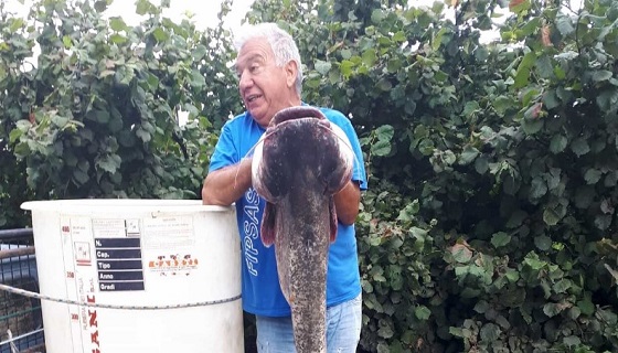 Umbria, finita la prima caccia al pesce siluro: oltre 60 “giganti” catturati.