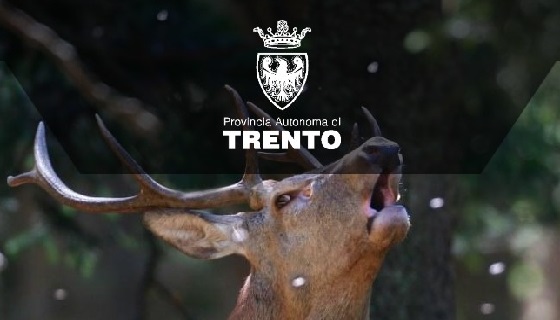 Trento: Servizio Foreste e Servizio Faunistico