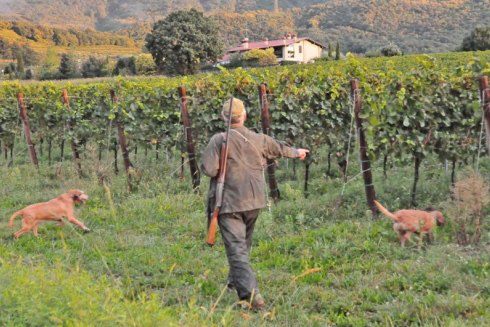 581751_453500034719063_459724504_n_453500034719063 Dallo stop alla caccia al caro-bollette: “Gli ambientalisti non sono i difensori della biodiversità”