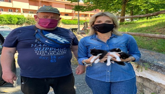 Marino: Guardie Zoofile Italcaccia mettono in salvo tre gattini
