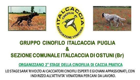 Gruppo Cinofilo Italcaccia Puglia e sez. Comunale Italcaccia Ostuni (BR) organizzano 2° stage della Cinofilia di Caccia pratica