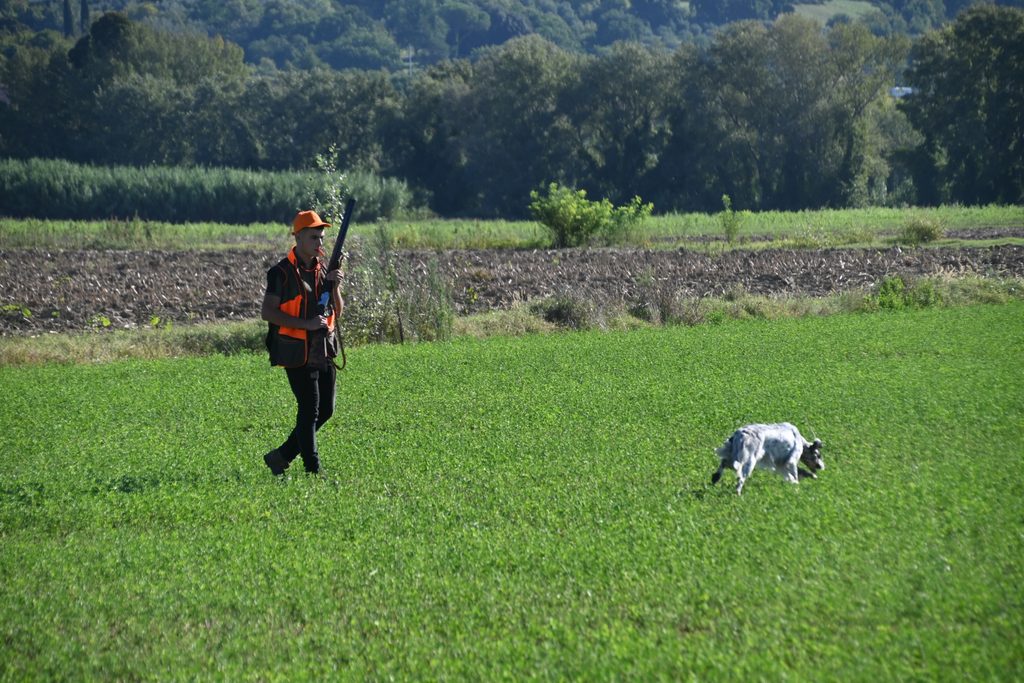 DSC_2069-1024x683 Ponzano Romano, 11° Campionato Nazionale Italcaccia prova di caccia pratica per cani da ferma e da cerca su pernici liberate.