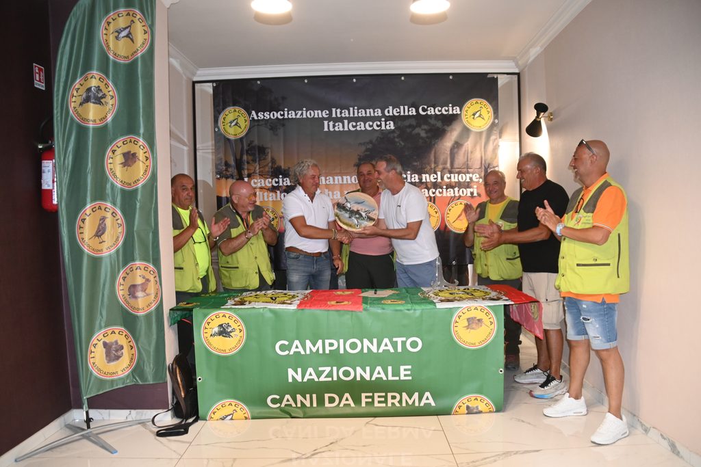 DSC_2368-1024x683 Ponzano Romano, 11° Campionato Nazionale Italcaccia prova di caccia pratica per cani da ferma e da cerca su pernici liberate.