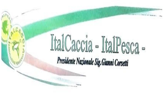 Italcaccia sull’utilizzo dell’acciaio, la Nostra posizione è sempre stata chiara…